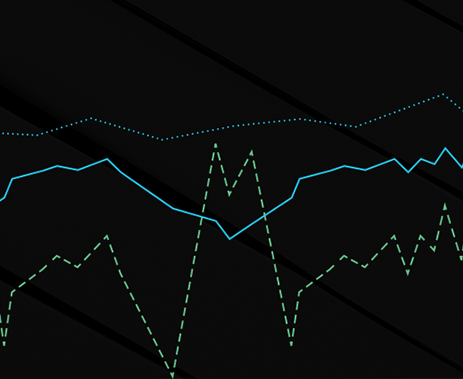 Shareholder Information