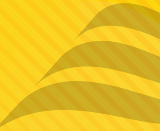 Customer Rights and Duties